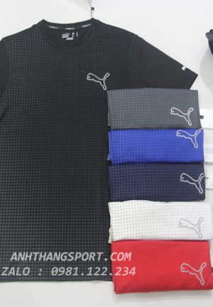 bỏ sỉ áo thể thao puma giá xưởng