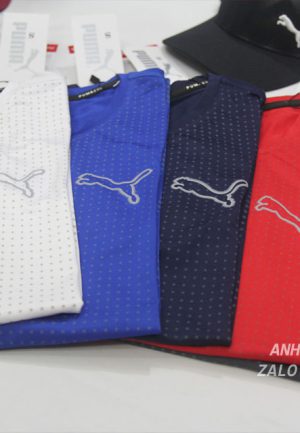 Chuyên bỏ sỉ áo thể thao puma tại tp hcm