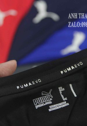 sỉ áo thể thao puma evo