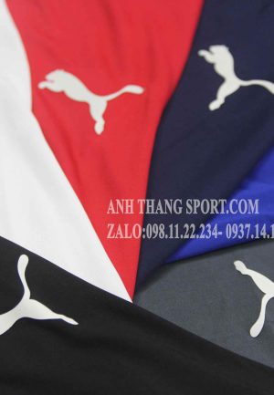 sỉ áo puma evo