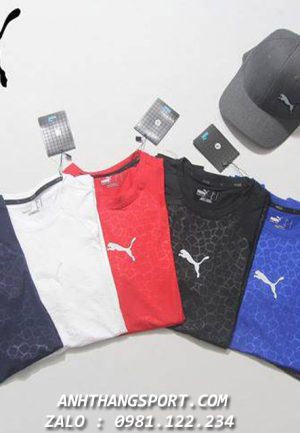 sỉ áo thể thao puma vnxk cao cấp