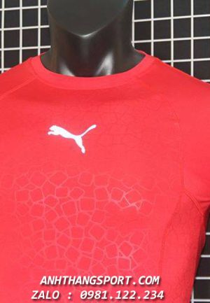 Mẫu áo thể thao Puma Original hàng cao cấp