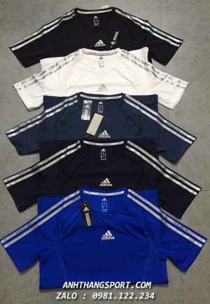 nơi bán sỉ áo thể thao nam Adidas Neo 2019