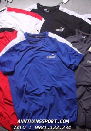 sỉ áo thể thao puma evolution 2019 giá rẻ