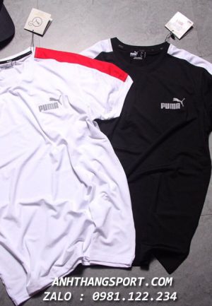 Áo Puma Evolution 2019 giá sỉ cực rẻ