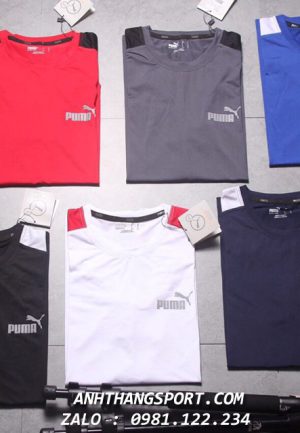 Cung cấp sỉ áo thể thao puma evolution 2019
