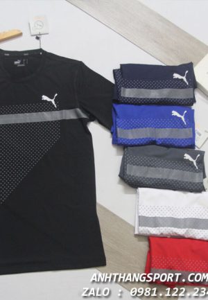 Bỏ sỉ đồ thể thao Puma Evolution hàng cao cấp