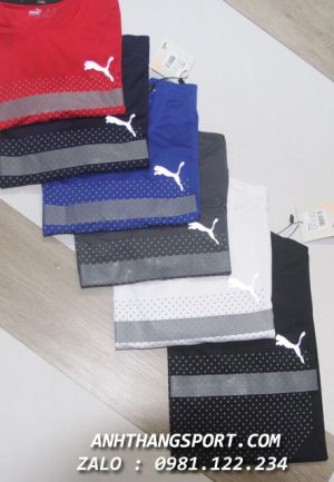 Áo thể thao Puma Evolution giá sỉ rẻ tận xưởng