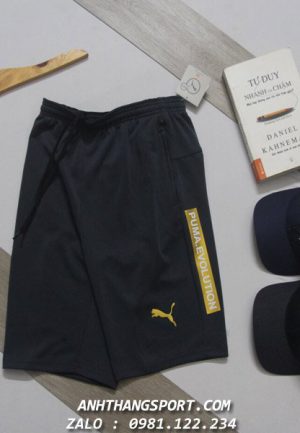 xưởng sỉ quần tập gym nam Puma Evolution tem đồng cao cấp