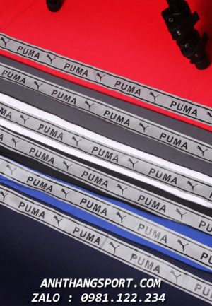 Mẫu áo Puma Evo 2019 phối lưng độc đáo