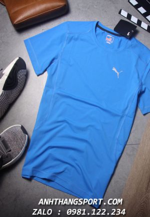 bán buôn áo thể thao Puma Evo Speed 2019 màu xanh rất đẹp