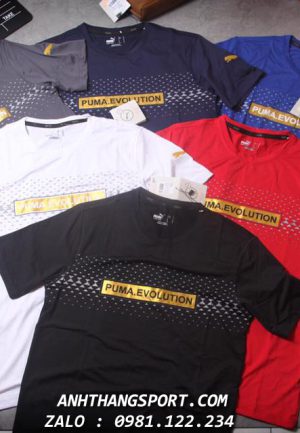 Bán buôn đồ thể thao Puma Evolution 2019