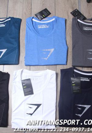 xưởng sỉ đồ tập gym nam giá rẻ