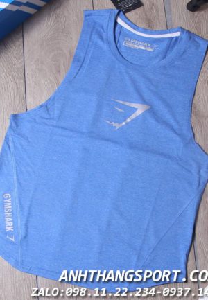 sỉ đồ tập gym