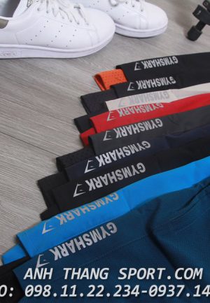 si-quan-tap-gym-nam-2-lop